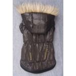 Chocolate Pup Coat Chocolate Pup Coat